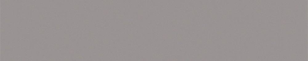 Серая  2*19*100